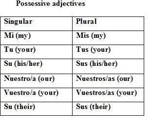 Possessive Adjectives 